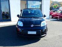 usata Fiat Panda Panda 1.0 -1.0 firefly s&s hybrid