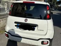 Usata Fiat Panda Cross Cross 69 CV (50 kW) 2024 Utilitaria