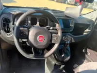 Usata Fiat Panda Cross Cross 69 CV (50 kW) 2022 Bianco Utilitaria