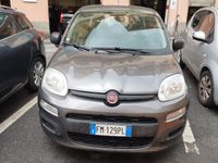 usata Fiat Panda Panda 1.2 Pop