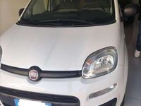 Usata Fiat Panda Lounge 86 CV (63 kW) 2015 Bianco Utilitaria