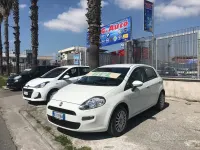 Usata Fiat Punto Lounge 77 CV (56 kW) 2014 Bianco Utilitaria
