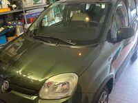 Usata Fiat Panda 4x4 80 CV (58 kW) 2014 Verde Utilitaria