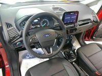 usata Ford Ecosport 1.0 EcoBoost 125 CV Start&Stop Active nuova a Alba