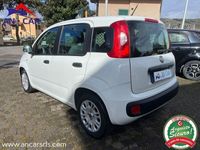 usata Fiat Panda Easy 2017 - Nazionale - ok neopatentati