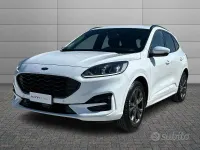 Usata Ford Kuga ST-Line 150 CV (110 kW) 2023 Bianco SUV