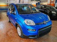 usata Fiat Panda 1.0 Hybrid 70cv Radio Bluetooth 36 Rate da 17795