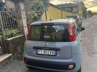 Usata Fiat Panda Lounge 69 CV (50 kW) 2018 Utilitaria