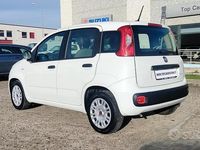 Usata Fiat Panda S 70 CV (51 kW) 2021 Bianco Utilitaria