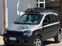 Usata Fiat Panda 4x4 60 CV (44 kW) 2006 Grigio Utilitaria