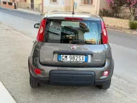 Usata Fiat Panda City Life 70 CV (51 kW) 2023 Grigio Utilitaria
