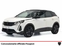 Usata Peugeot 3008 GT 131 CV (96 kW) 2022 Bianco SUV