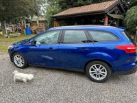 usata Ford Focus 15.d sw