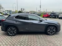 usata Lexus UX UX 250hHybrid 4WD Premium