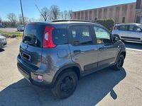 Usata Fiat Panda 4x4 95 CV (69 kW) 2017 Grigio Utilitaria