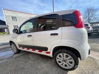 Usata Fiat Panda 4x4 Pop 85 CV (62 kW) 2019 Bianco Utilitaria