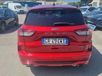 Usata Ford Kuga ST-Line 190 CV (139 kW) 2024 Rossa SUV