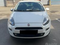 Usata Fiat Punto Lounge 69 CV (50 kW) 2017 Bianco Utilitaria