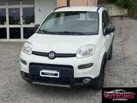 Usata Fiat Panda 4x4 S 85 CV (62 kW) 2020 Bianco Utilitaria