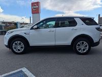 Usata Land Rover Discovery Sport S 150 CV (110 kW) 2020 Bianco SUV