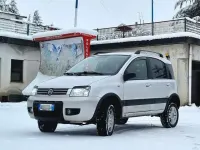 Usata Fiat Panda 4x4 60 CV (44 kW) 2008 Utilitaria
