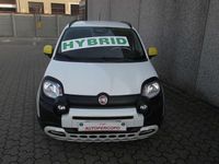 Usata Fiat Panda Cross Cross 69 CV (50 kW) 2025 Verde foresta Utilitaria