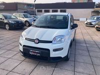 Usata Fiat Panda 69 CV (50 kW) 2023 Bianco Utilitaria