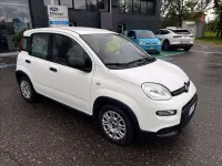 Usata Fiat Panda S 69 CV (50 kW) 2023 Bianco Utilitaria
