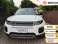 Usata Land Rover Range Rover evoque 150 CV (110 kW) 2019 Bianco SUV