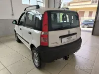 Usata Fiat Panda 4x4 Active 60 CV (44 kW) 2010 Bianco Utilitaria