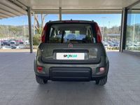 usata Fiat Panda 1.0 FireFly 70cv S&S Hybrid City Life