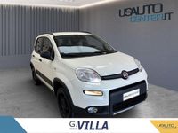 Usata Fiat Panda Wild 86 CV (63 kW) 2022 Bianco Utilitaria