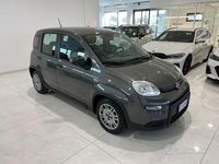 Usata Fiat Panda S 69 CV (50 kW) 2023 Grigio Utilitaria