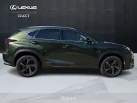 Usata Lexus NX300h 197 CV (144 kW) 2021 Verde SUV