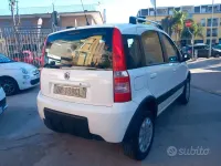 Usata Fiat Panda 4x4 60 CV (44 kW) 2009 Bianco Utilitaria