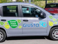 Usata Fiat Panda Easy 69 CV (50 kW) 2022 Grigio Utilitaria