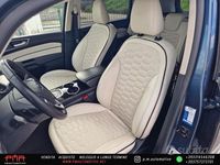 Usata Ford S-MAX Vignale 190 CV (139 kW) 2019 Blu Monovolume