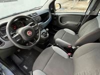 Usata Fiat Panda 69 CV (50 kW) 2020 Utilitaria