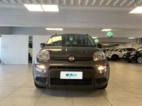 usata Fiat Panda 1.0 FireFly 70cv S&S Hybrid City Life