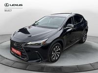 Usata Lexus NX300h 243 CV (178 kW) 2022 Nero SUV