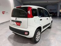 Usata Fiat Panda 4x4 Pop 86 CV (63 kW) 2020 Bianco Utilitaria