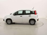 Usata Fiat Panda Easy 69 CV (50 kW) 2020 Bianco Utilitaria