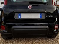 Usata Fiat Panda Cross Cross 69 CV (50 kW) 2023 Other Utilitaria