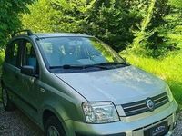 usata Fiat Panda 1.2 benz - Garanzia 12 mesi