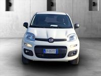 Usata Fiat Panda 4x4 Pop 86 CV (63 kW) 2021 Bianco Utilitaria