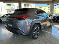 usata Lexus UX Hybrid Premium del 2019 usata a Desenzano del Garda