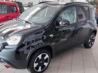 usata Fiat Panda Cross 1.0 FireFly S&S Hybrid