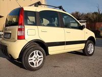 Usata Fiat Panda 4x4 Climbing 69 CV (50 kW) 2006 Giallo Utilitaria