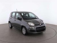 Usata Fiat Panda 69 CV (50 kW) 2023 Grigio Utilitaria