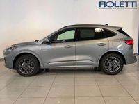 Usata Ford Kuga ST-Line 190 CV (139 kW) 2021 Argento SUV